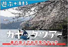 【お花見カヤック】水月湖から眺める山桜＆若葉の里山 カヤック２時間コース≪特典付き≫
